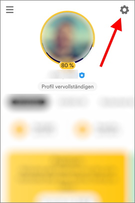 Hauptmenü für die Einstellungen in Bumble