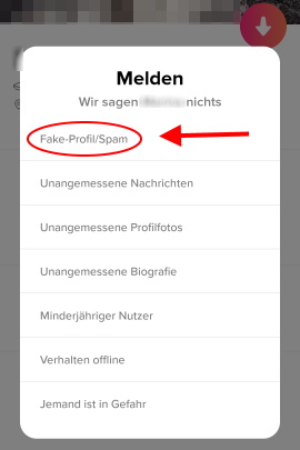 Menü zum Melden von Fake-Profilen in Tinder