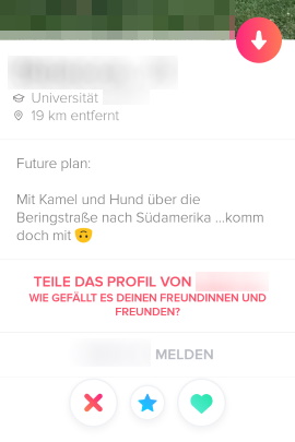 User beschreibt gemeinsame Reise im Profil