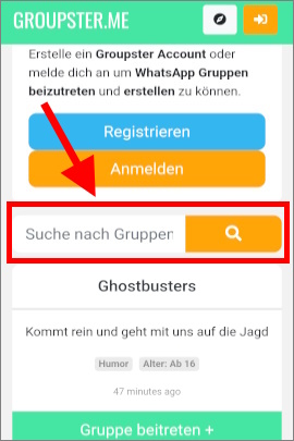 Startseite der Plattform Groupster mit Suchleiste