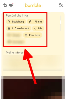 Angaben zur Person im Bumble-Profil