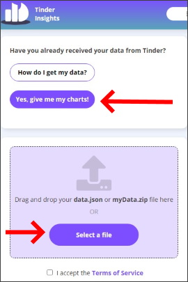 Webseite von Tinder Insights, um Datei hochzuladen