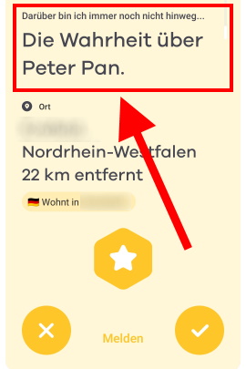 Lustige Antwort auf negative Profilfrage in Bumble