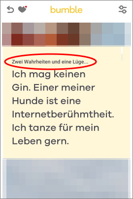 Rätsel im Profiltext mit zwei Wahrheiten und einer Lüge